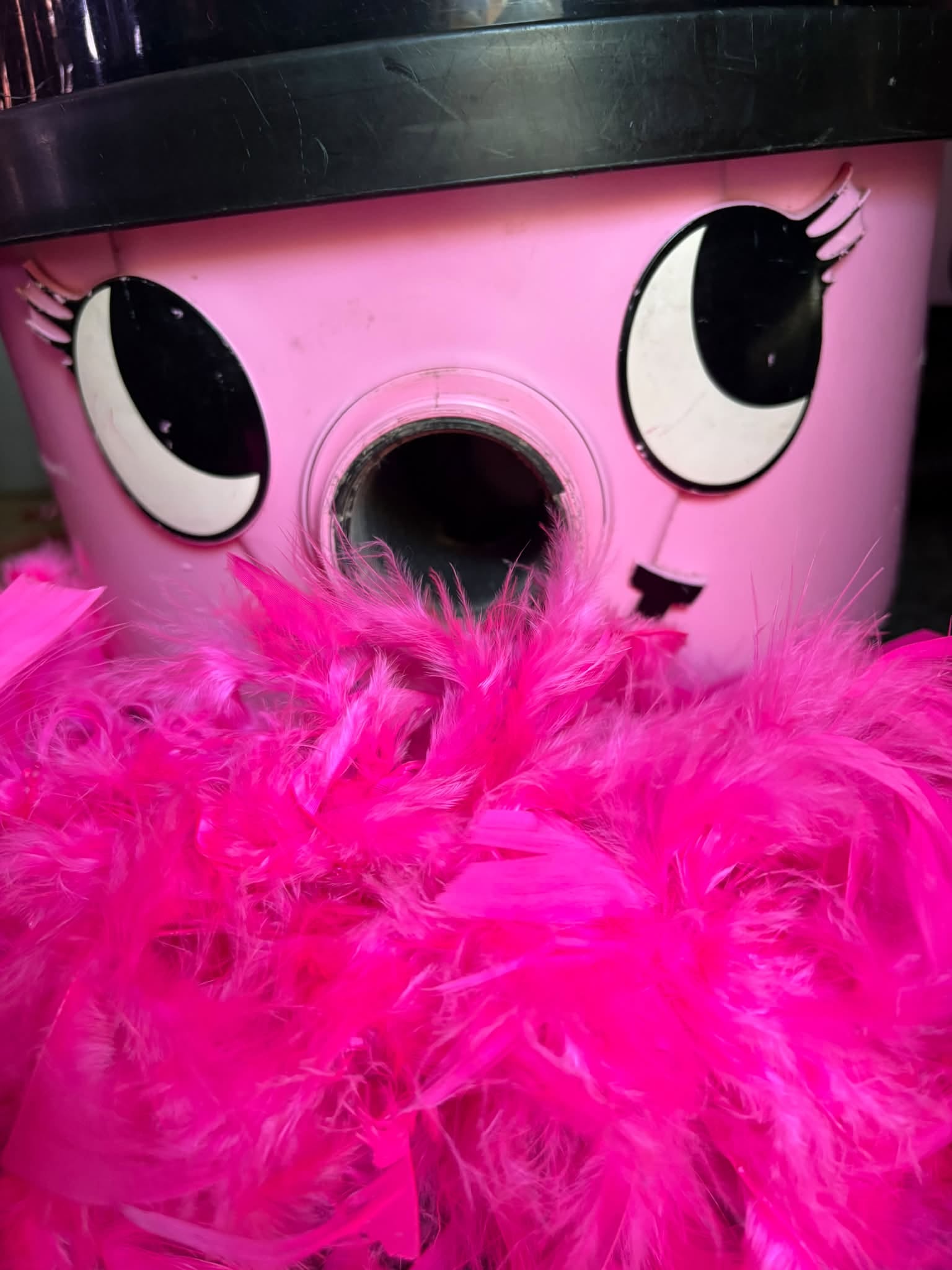 Swish Housekeeping's playful pink hoover character